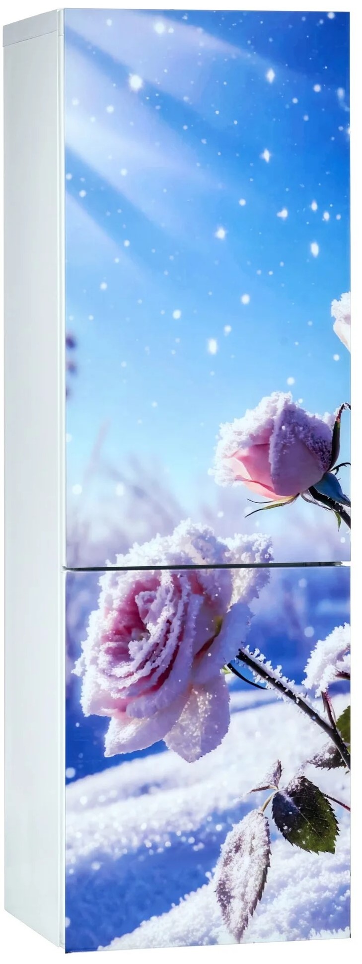 Холодильник ОРСК 175 B Glass ROSE