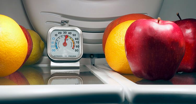 temperaturemonitoring-lg.jpg temperaturemonitoring-lg.jpg