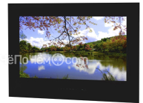 Телевизор AVEL AVS245SM Black