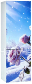Холодильник ОРСК 177 B Glass ROSE