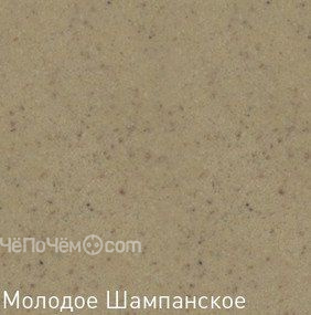 Кухонная мойка ZIGMUND & SHTAIN rechteck 600.2(молодое шампанское)