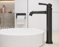 Смеситель TIMO Arisa 5311/03F черный